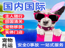 长春空运国际宠物托运 【国